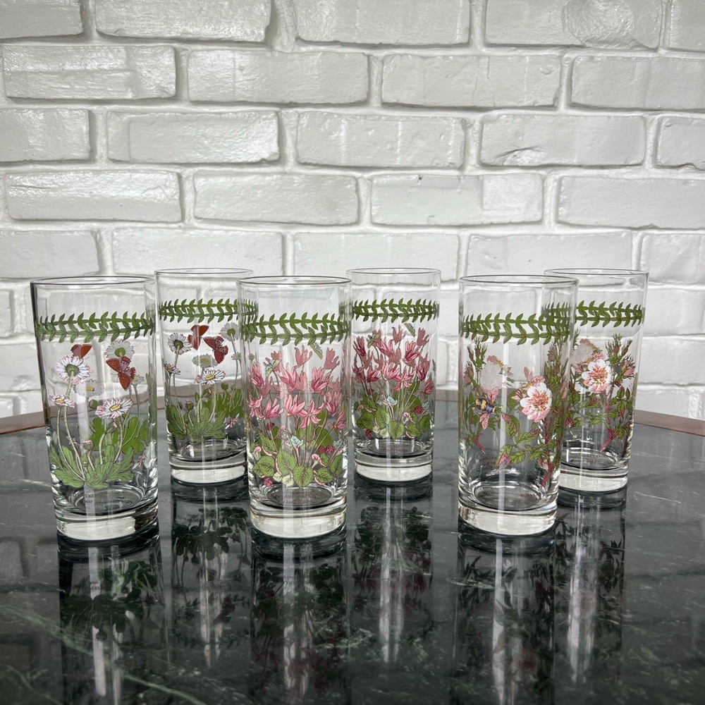 Pottmeirion Botanic Garden high ball GLASS  (one glass)